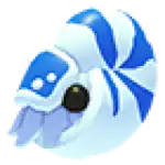 Nautilus