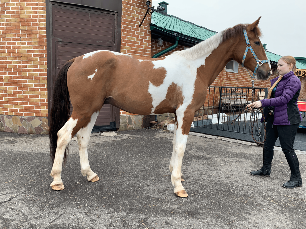 Processed with logo and Lightroom presets