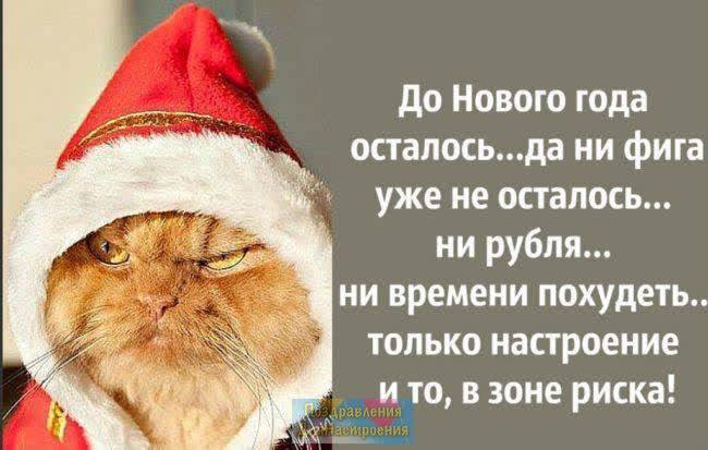 FE082759-C819-4F76-9A84-E6D0C04F6D2A