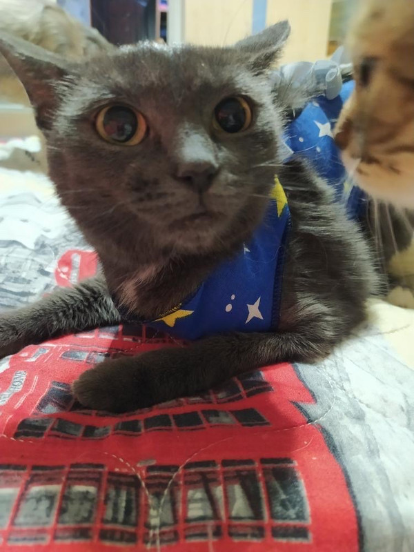 94E3F27E-4B86-44D7-9367-29AD37BA6848