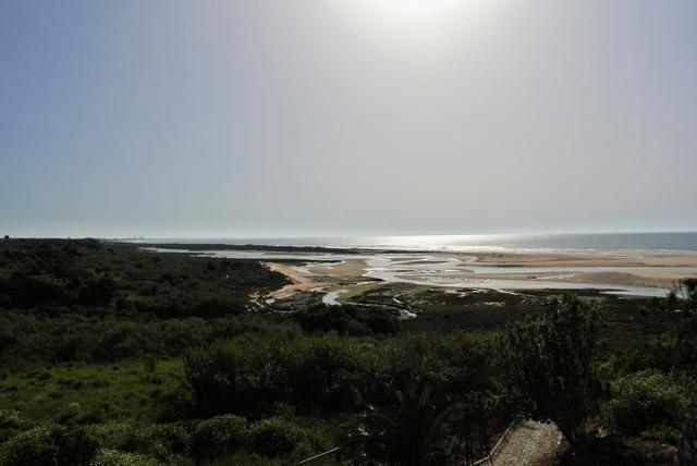 Portugal desde el Algarve hasta Lisboa - Blogs de Portugal - Cacela Vieja, Tavira, Fuzeta, Olheo (1)