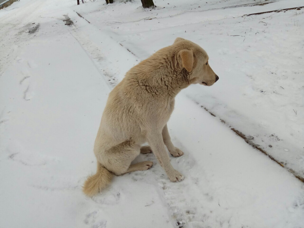 6EA206B6-62E5-4201-AA73-5A27949873B8