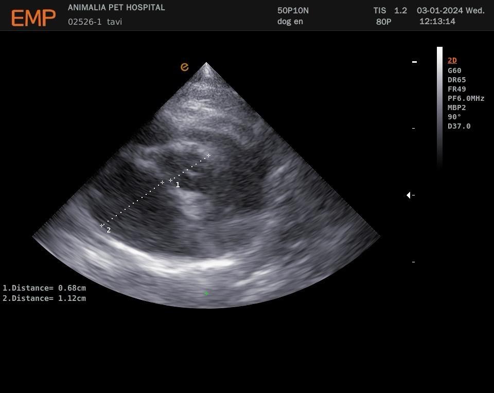 WhatsApp Image 2024-01-03 at 21.45.05 (1)