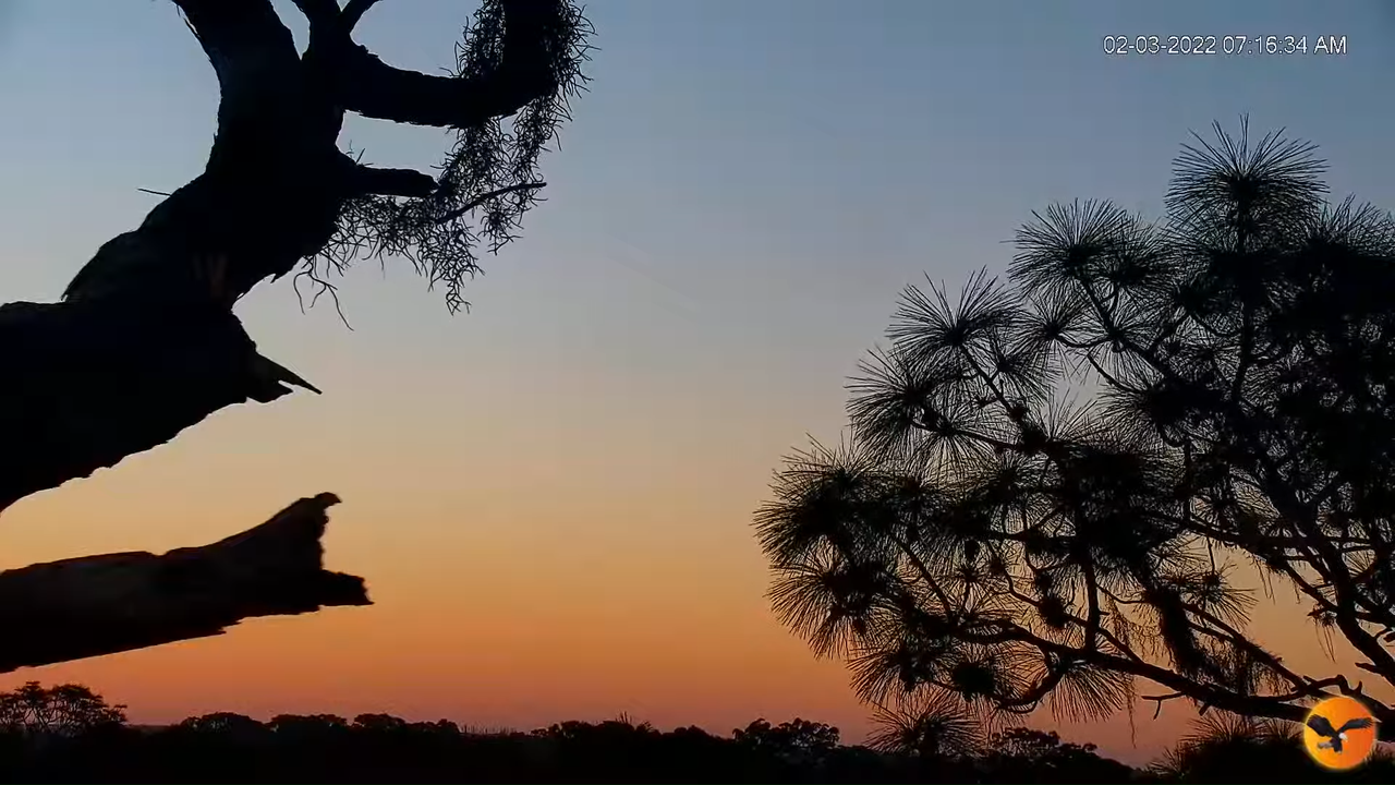 EC Remote Cam 12-35-17 screenshot (1)