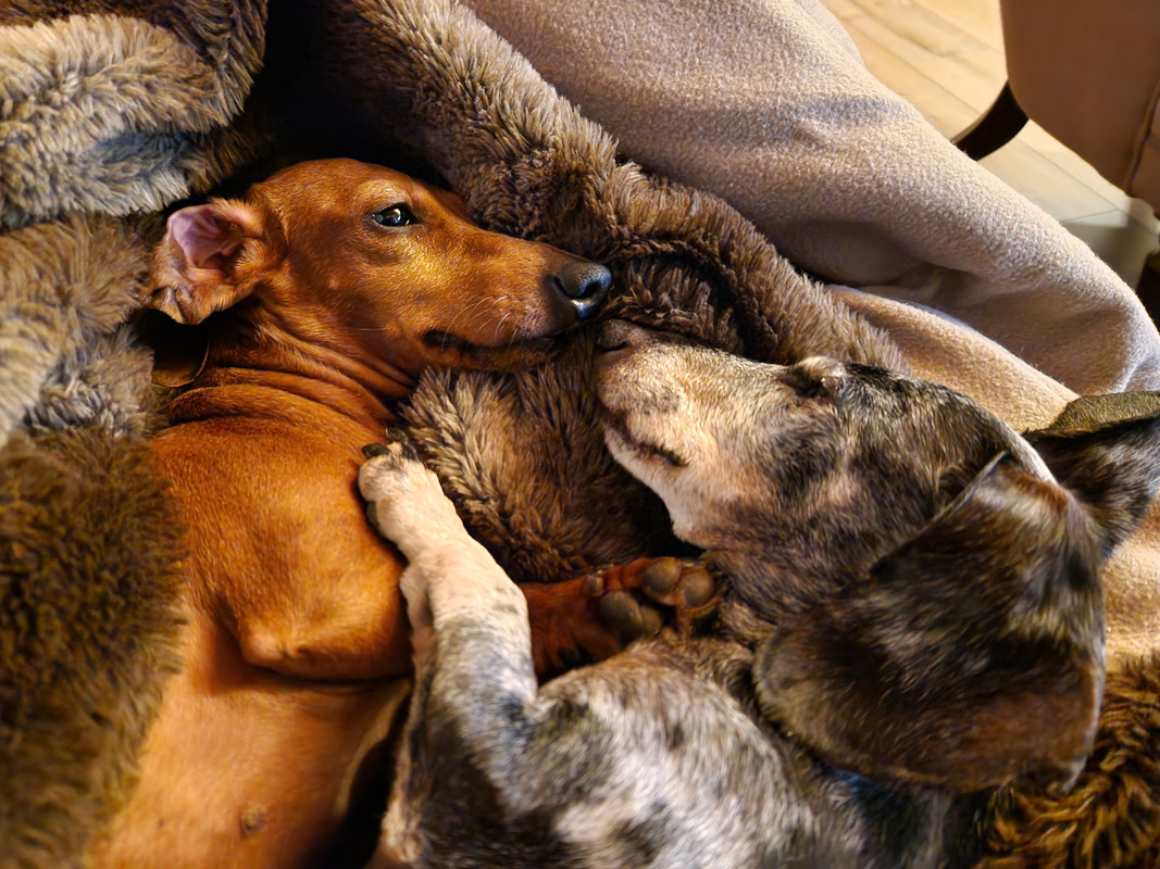 [Image: 20230114-002628.jpg]