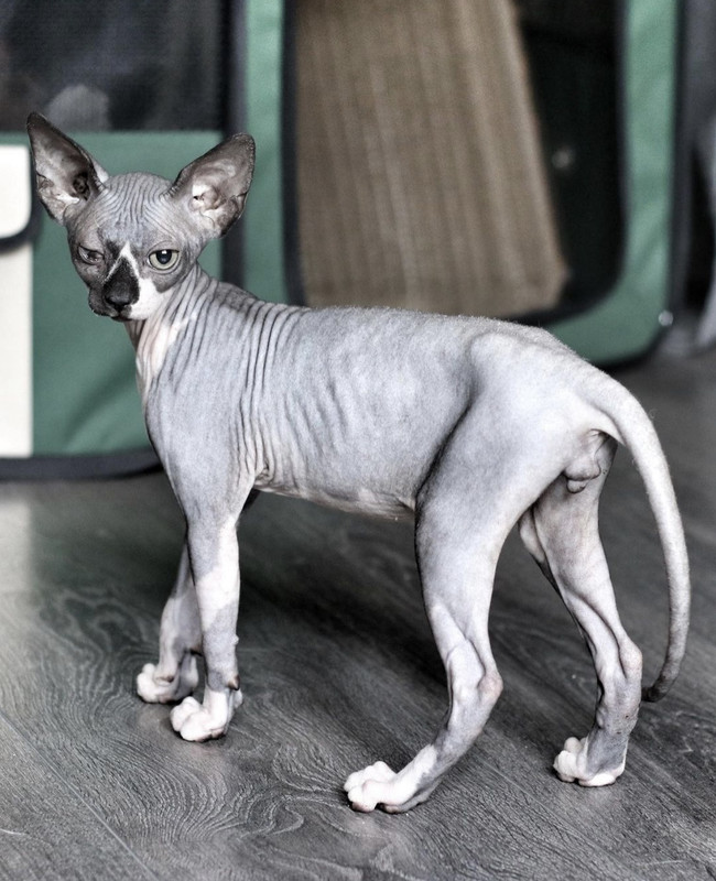 6AFCCCD5-D043-4CDE-9DA4-6197B15AACF7