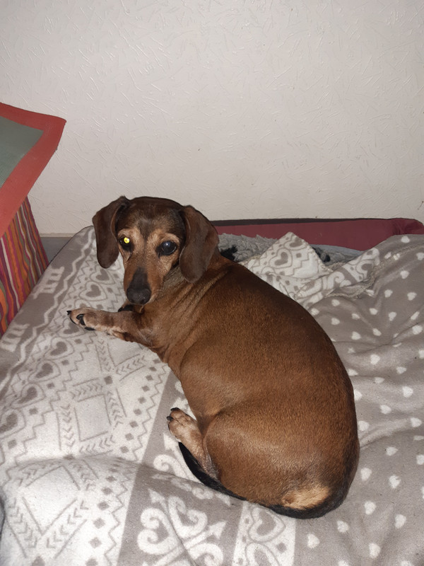 [Image: 20210522-184141.jpg]