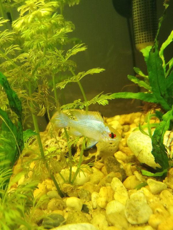 IMG_20240822_150020_827