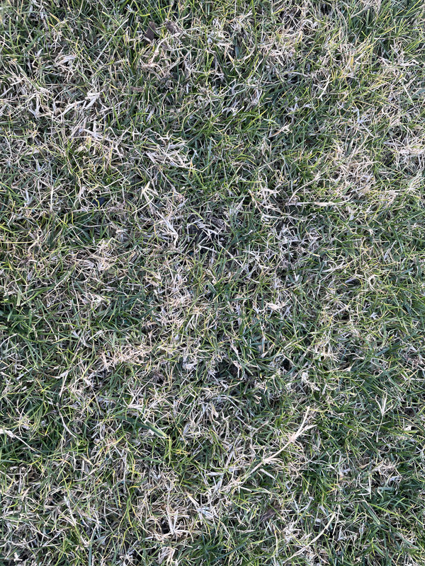 847640FC-B022-4FA3-A0AB-5A6207E4E09D