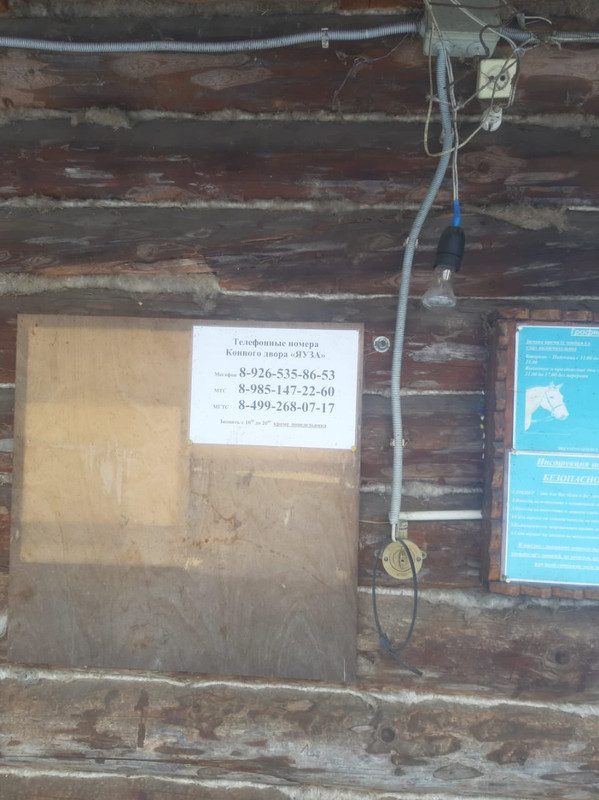 WhatsApp Image 2021-03-10 at 09.27.15 (1)