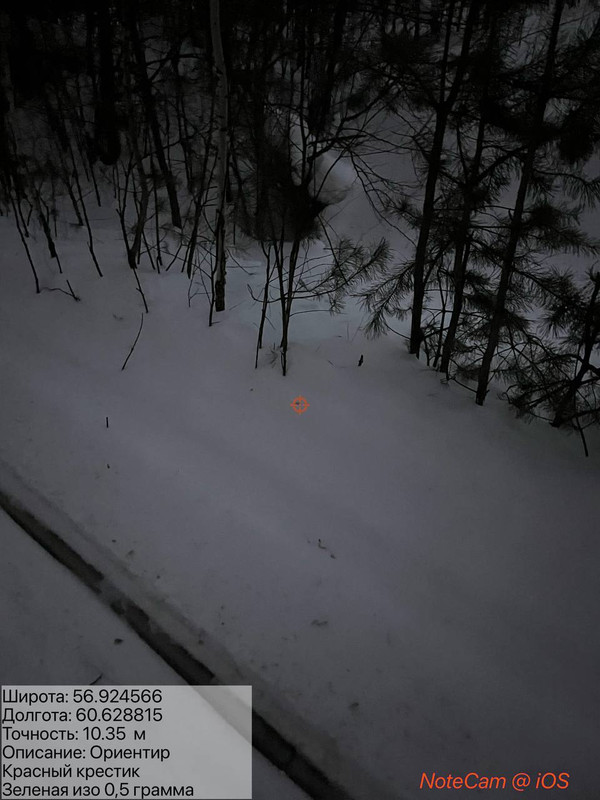 photo 63 2026 02 15 21 41 20