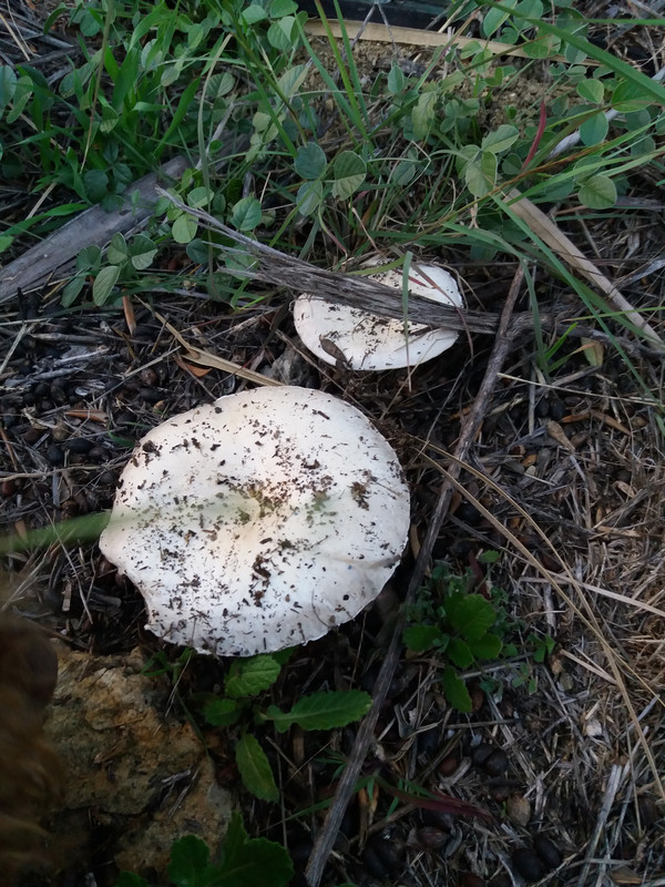 CAB81759-B77D-4050-9460-57213C251D68