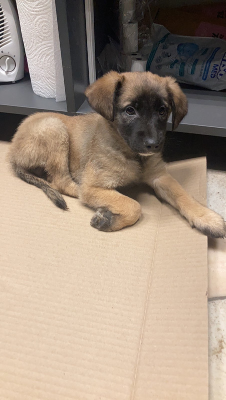 DB637FD0-C0B7-4BC8-BE5A-D3408DDBC951