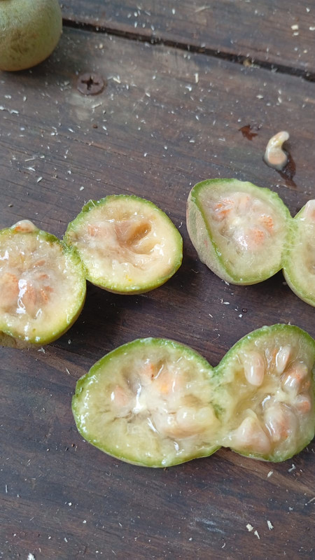 Whats App Image 2025 12 31 at 11 47 52 AM