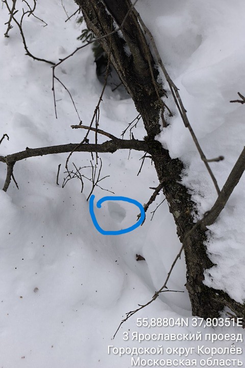 3 Ярославский проезд Городской округ Королёв Московская область 20260211 140426