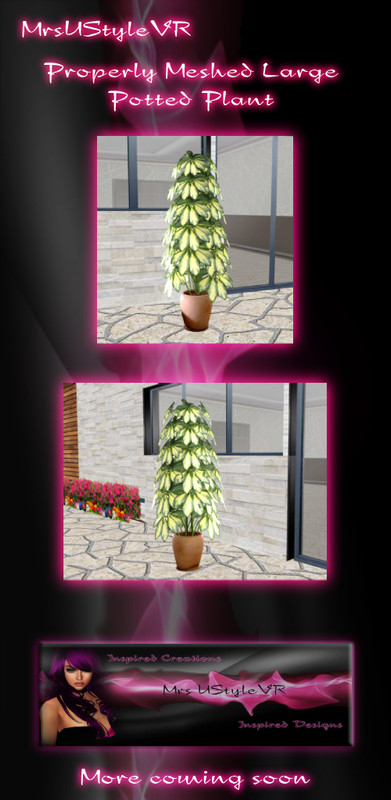 Large-Potted-Plant-Promo