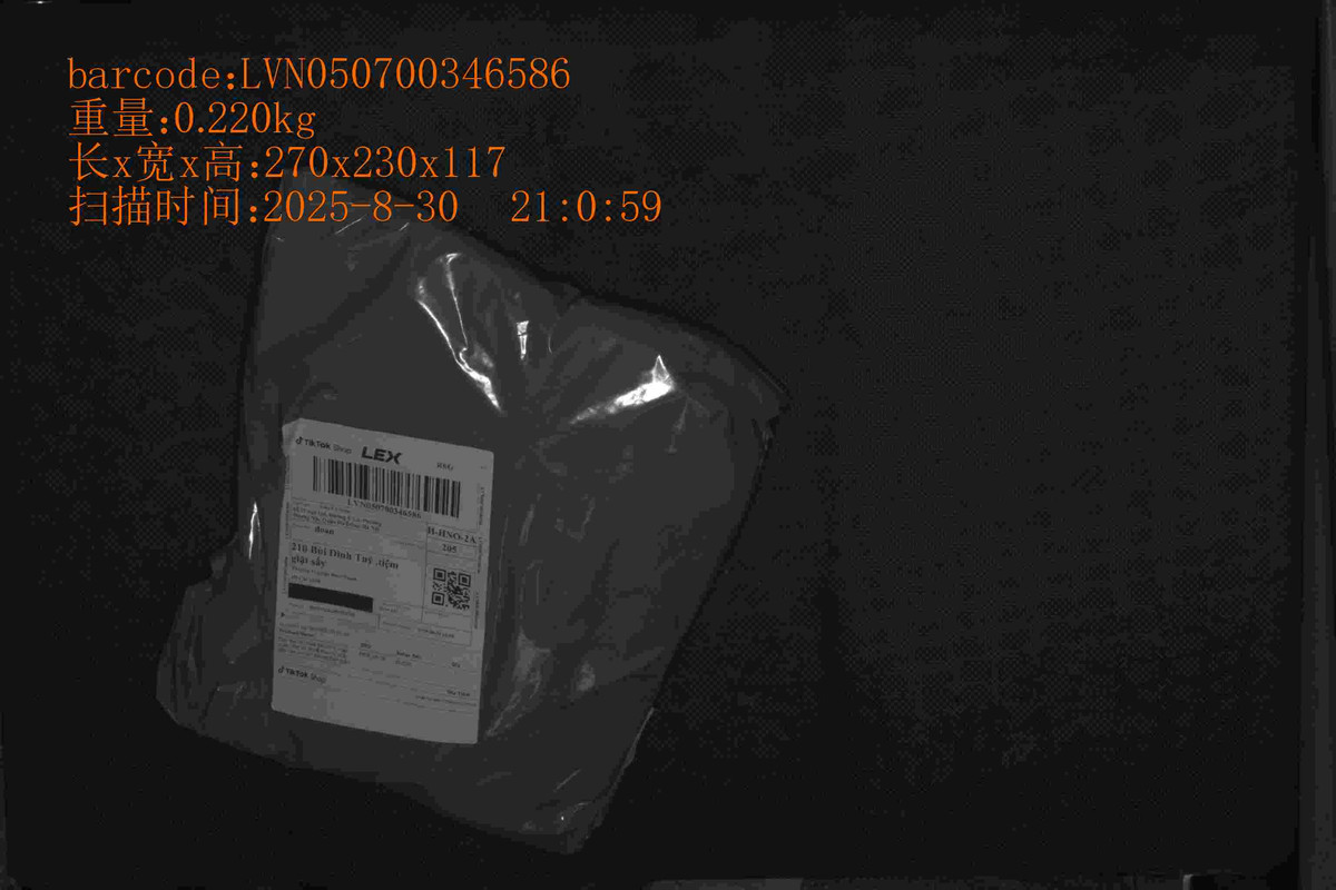 LVN050700346586_270_230_117_0.220_2025_8_30_21_0_59