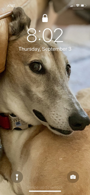 58552B7A-C6A9-46D9-9C92-5222B432A19D