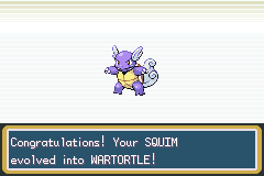 a freshly evolved wartortle.