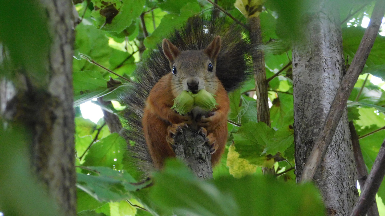 Дачное и  к Хелл сентябрь 2023 014