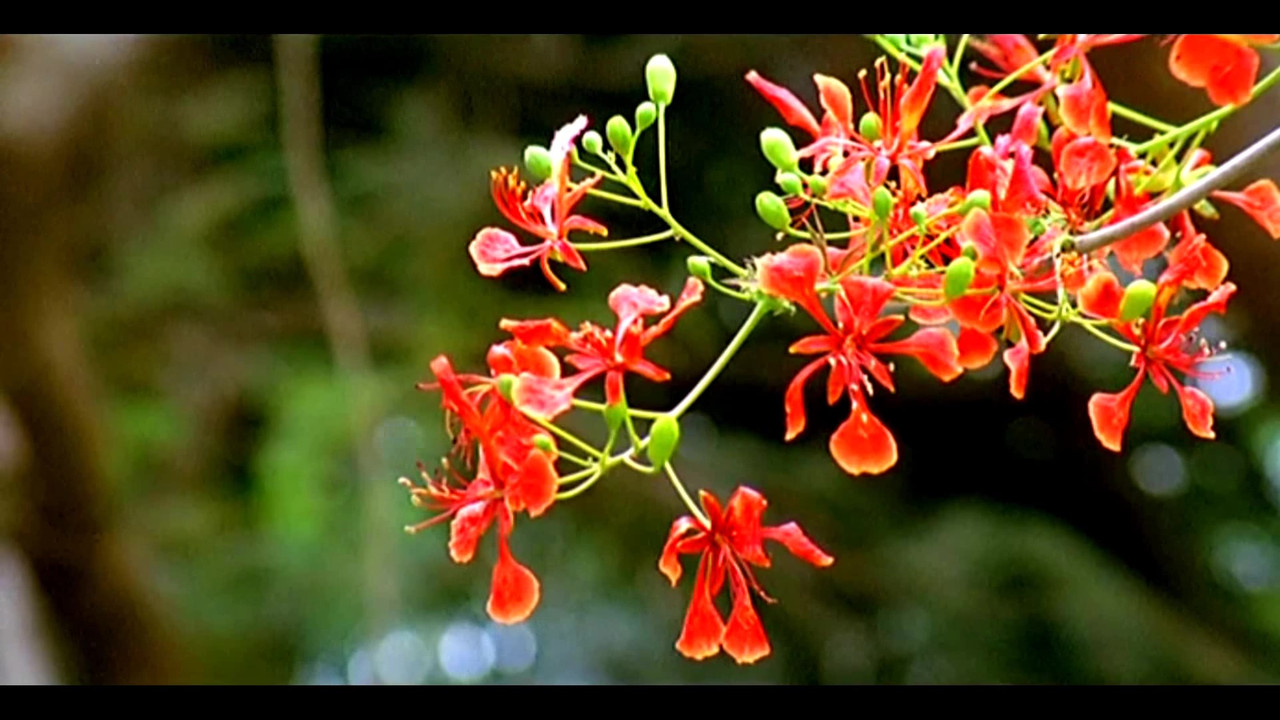 vlcsnap-2022-10-12-11h36m58s361