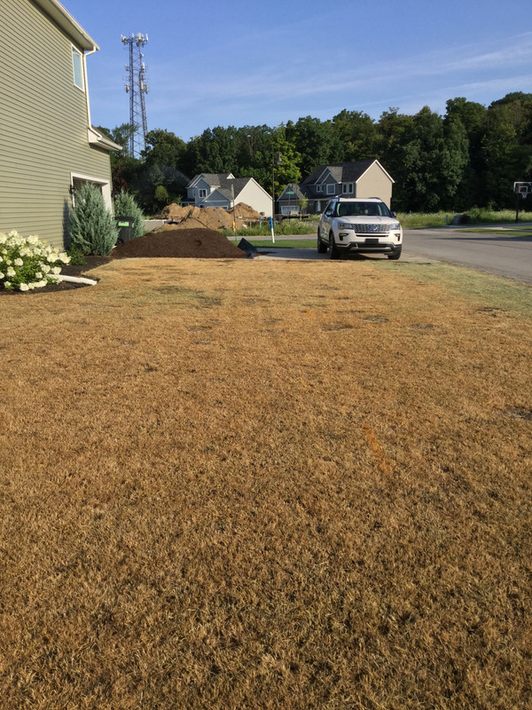 08855833-BD52-40F4-B99E-C2F8FF17E3FA