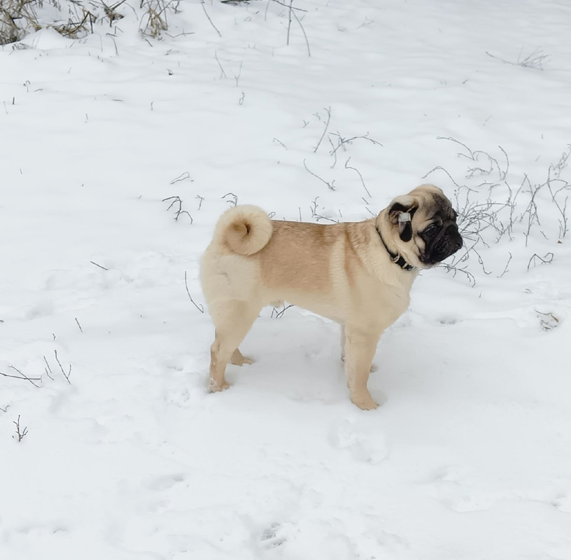 JQDb1JGUNxJeGMcC3wsDK1yadSwgxl0RV0tynQ0-hYQAVgZF-9cmlL99ct3-wQ7mpxd-S23QmUmVJZf-Kqb15wFR