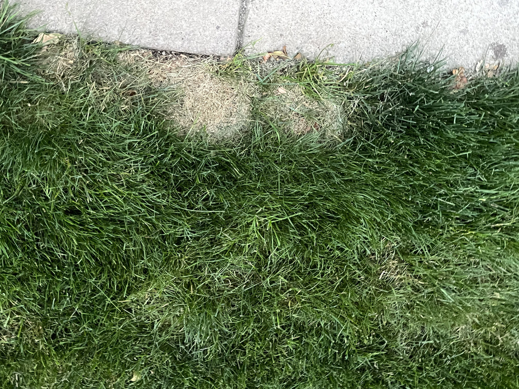 1EE2BBE5-31F4-49CB-8E75-4E59107B2CDD