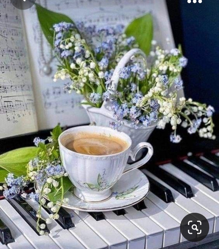 Screenshot_20230928_225858_Pinterest