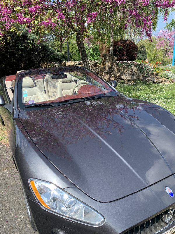 AB1E5243-12DB-46F2-86B6-D880FD689562