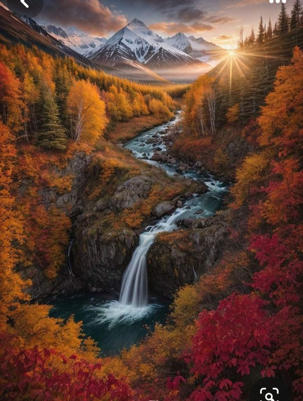 Screenshot_20240218_210556_Pinterest