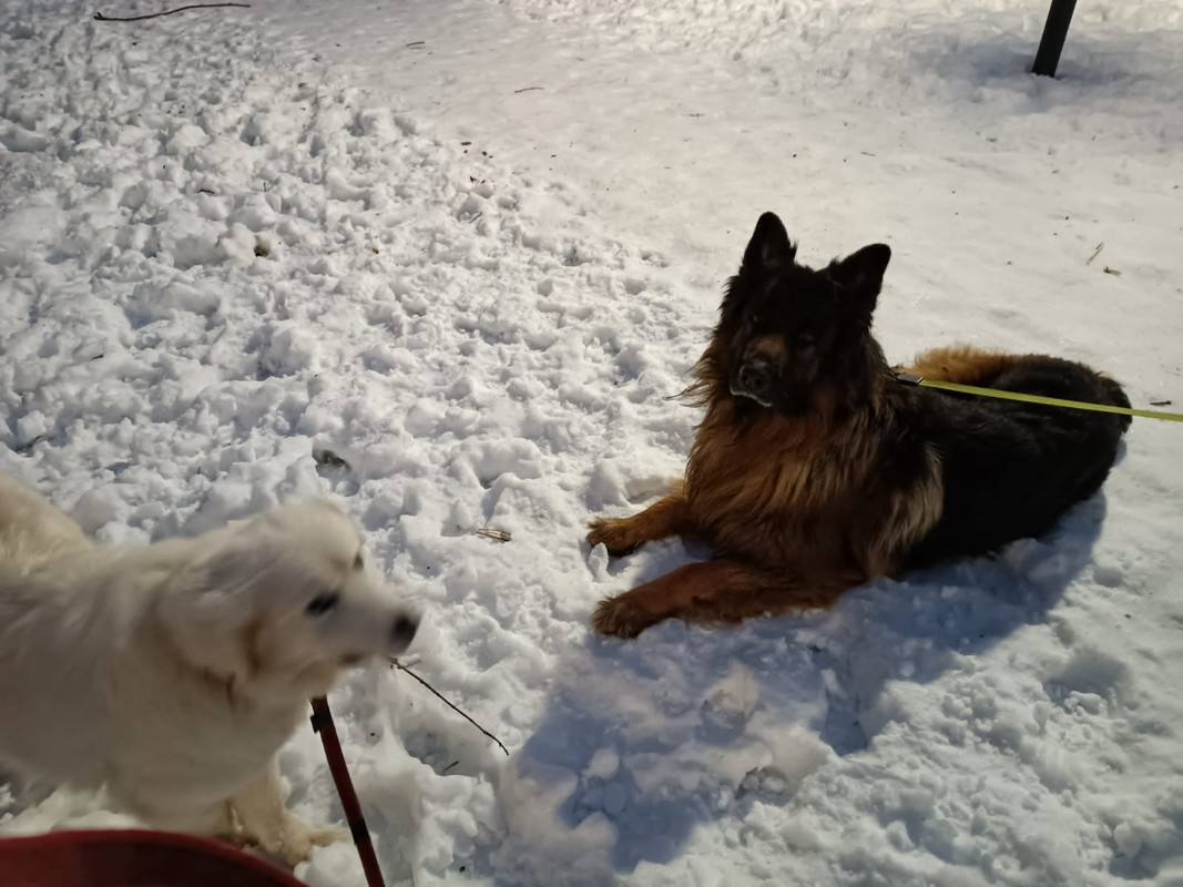 DFB41264-F658-46B5-B92D-E0152A5013AC