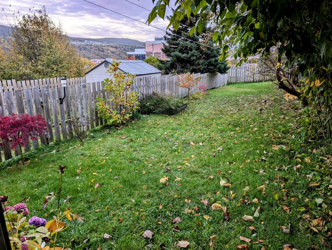 PXL_20241027_101002229.MP~2