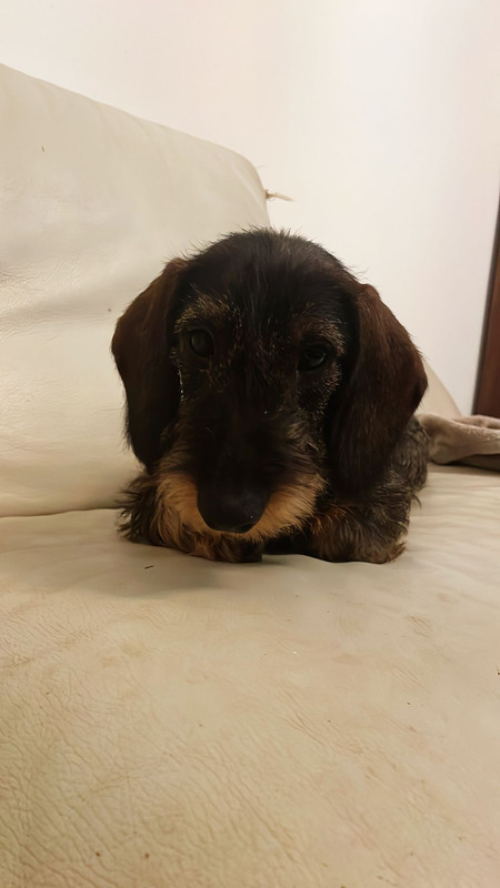 [Image: IMG-20250803-WA0013.jpg]