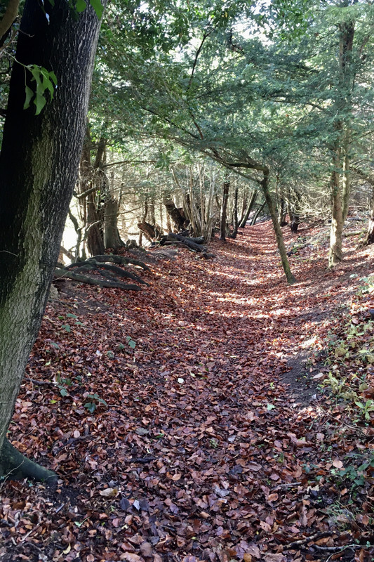 1F7A8877-48DD-40A7-BFCF-1E743992ABB7