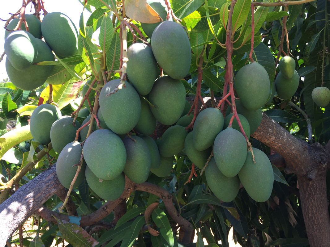 6996D581-89EB-4DA1-A6E4-4CF642164C5E