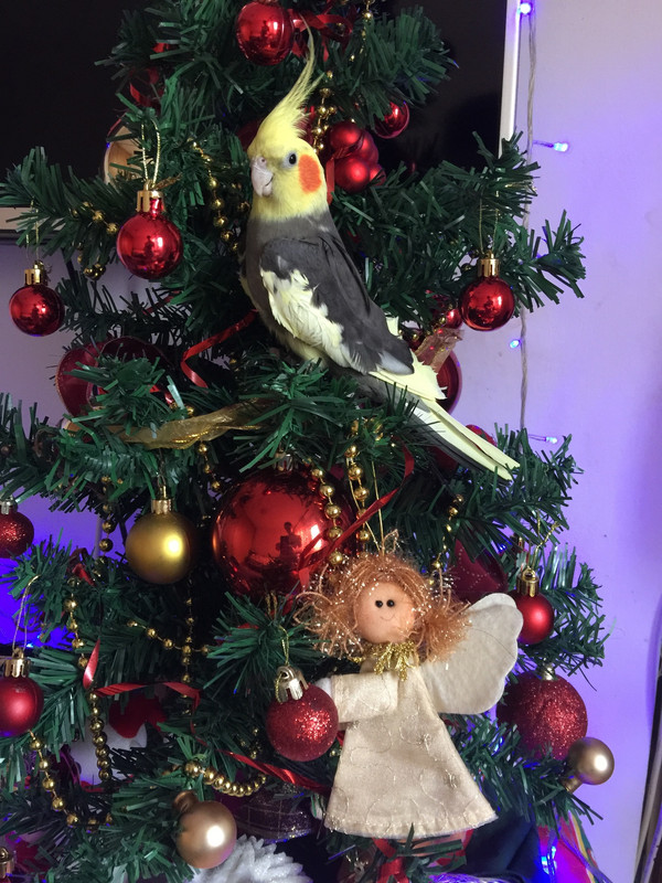 59D65D28-364E-4115-B2A3-D865F63D6990