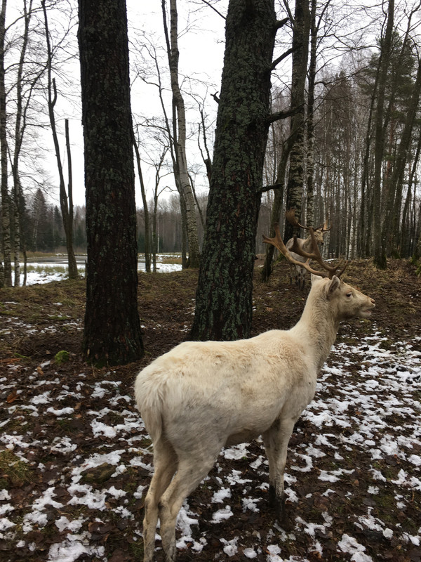 7AAB9E5A-536F-403E-B22B-6A7C343D34B0