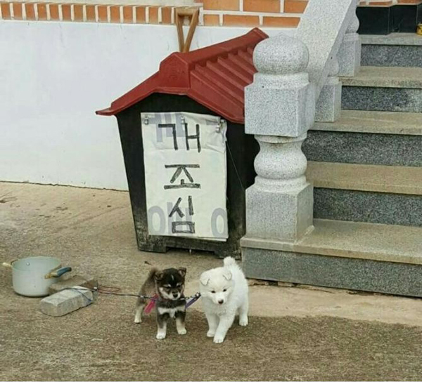 ̵ ̹