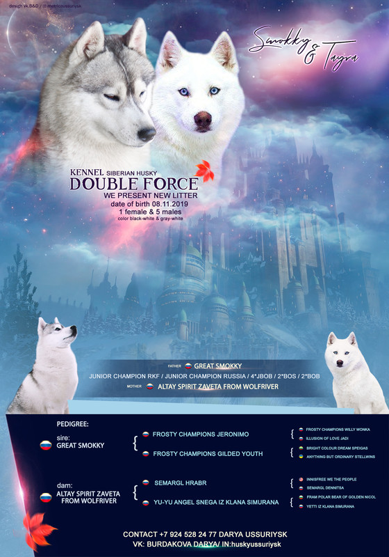 тайра и смокки презент