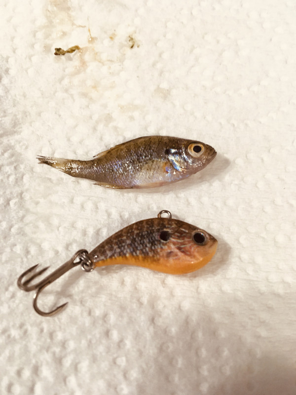 764BC81A-95C8-413E-A479-A691F0FCB545