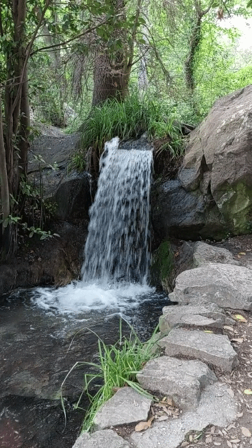 20210706-170346-1.gif