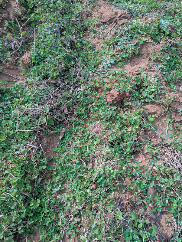 PXL 20260124 163754876