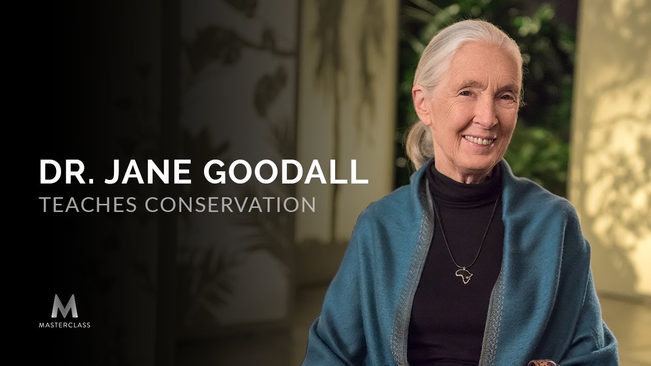 MasterClass - Dr. Jane Goodall Teaches Conservation