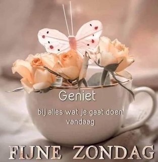 An den Beitrag angehängtes Bild: https://i.postimg.cc/4d6sgDqG/Zondag-DWg-AE-Wk-Q.jpg