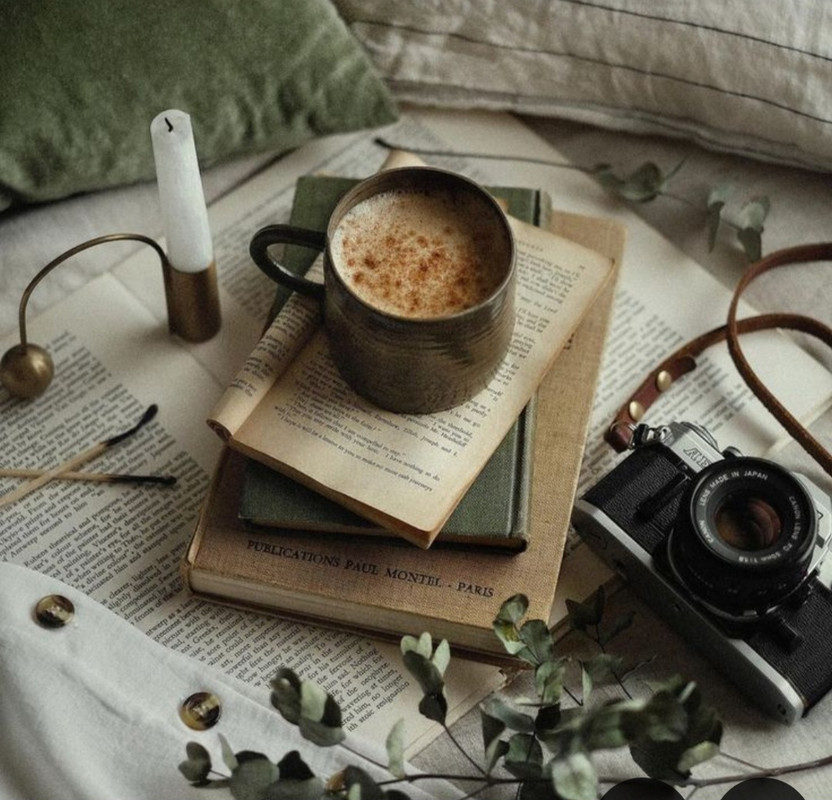 Screenshot_20240706_222026_Pinterest