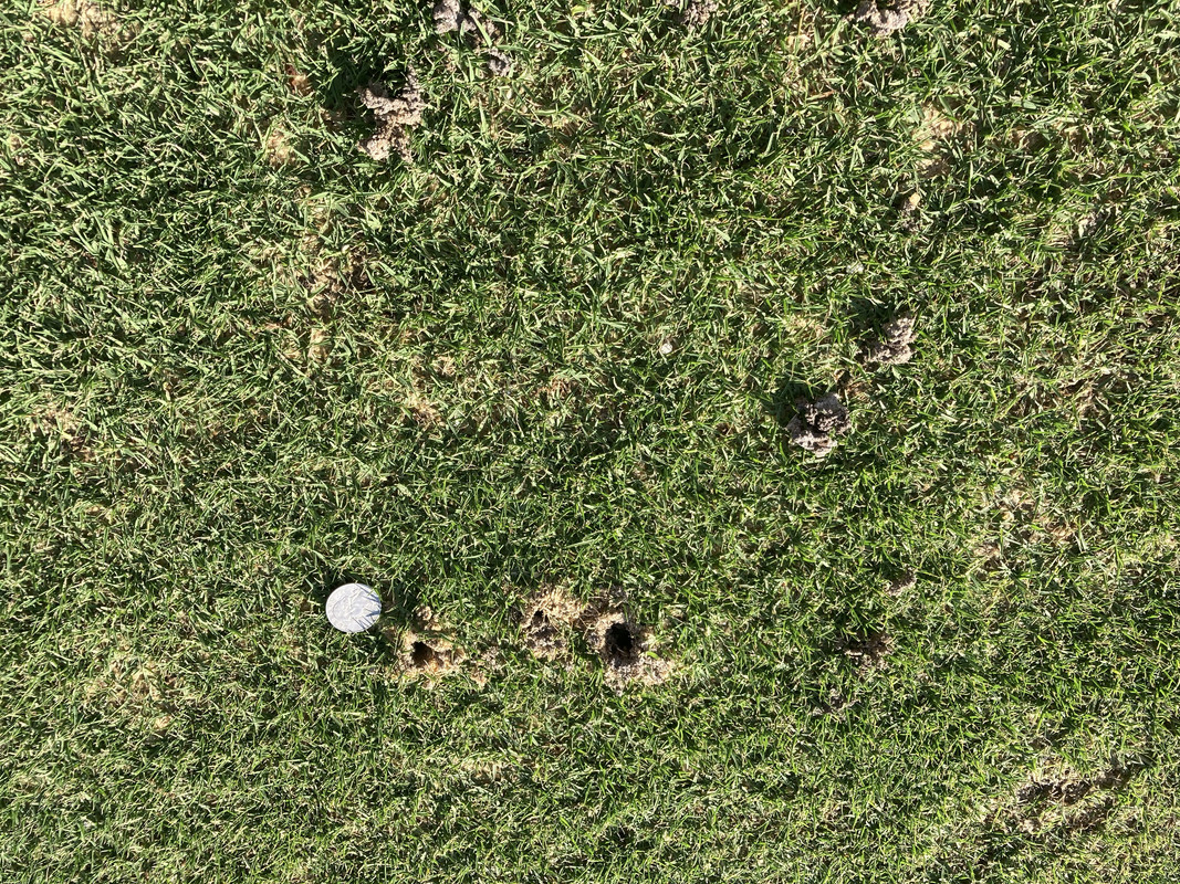 FADFB0D4-BCFA-49EE-B04A-D6386D0C94DF