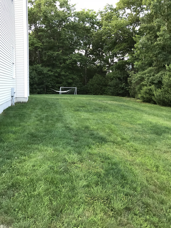 8F7DE019-CDA8-4EF2-AA3B-6C8A823A2CB8