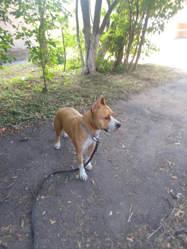 758001D4-DA03-4042-8798-38E354A1C26D