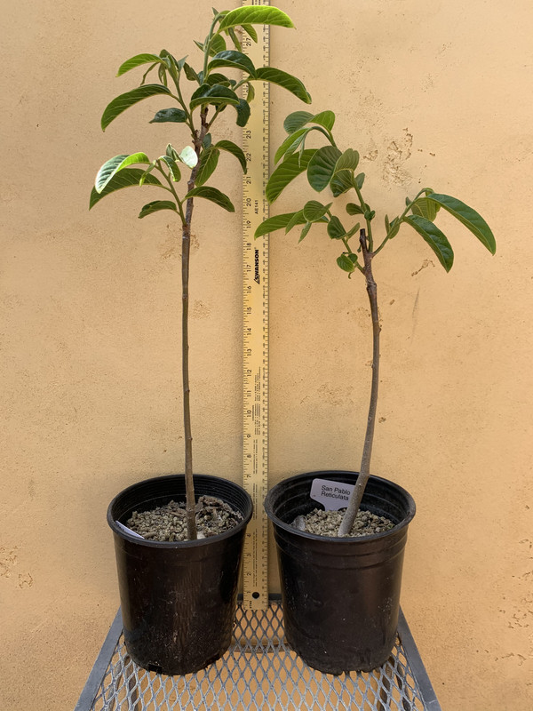 709727E3-F452-4E66-8EDB-D84BED587E89